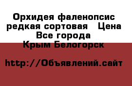 Орхидея фаленопсис редкая сортовая › Цена ­ 800 - Все города  »    . Крым,Белогорск